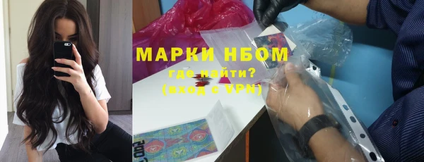 шишки Горно-Алтайск
